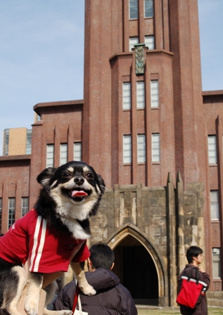 f0065768_19404727.jpg