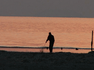 f0104569_031544.gif