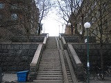 e0022676_4104254.jpg