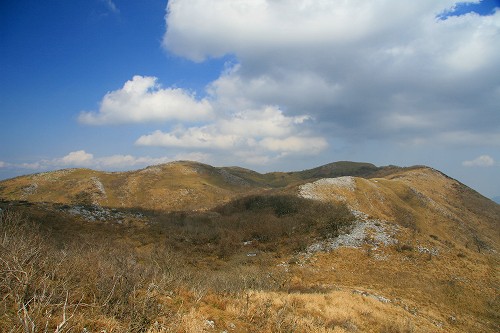 f0073587_0534269.jpg