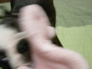 e0110089_10355057.jpg