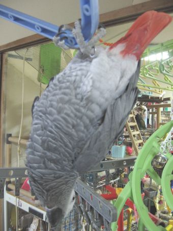 c0076490_21262557.jpg