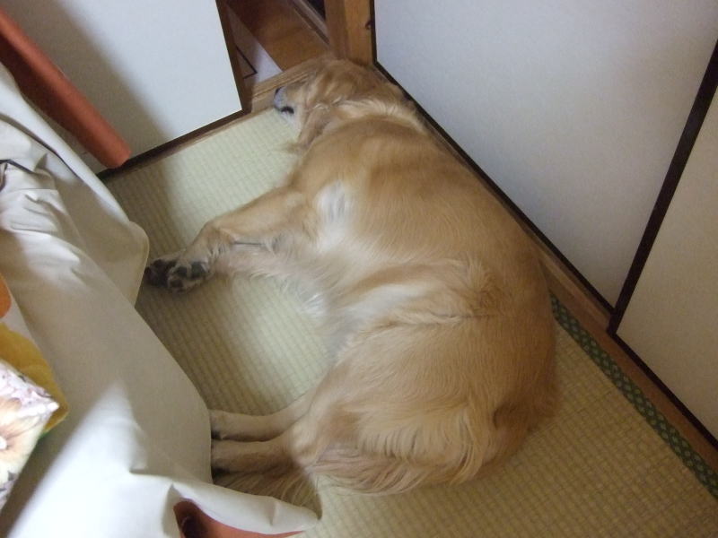 c0104492_027884.jpg
