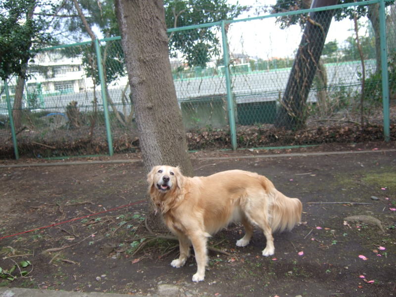 c0104492_14990.jpg