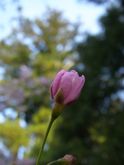 d0045295_18252441.jpg