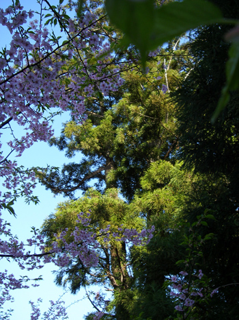 d0045295_23561241.jpg