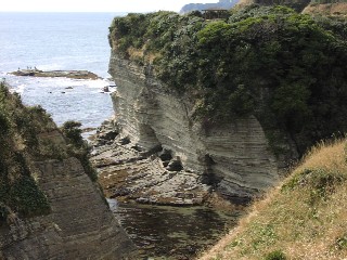 b0021101_18252297.jpg