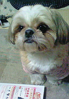 e0040602_2284252.jpg