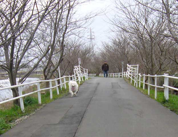 e0018604_1772838.jpg
