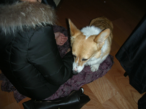 d0104705_12152116.jpg