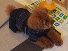 a0007906_2243240.jpg