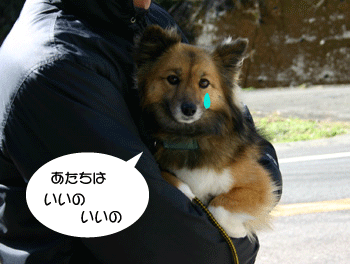 a0041108_182458.gif
