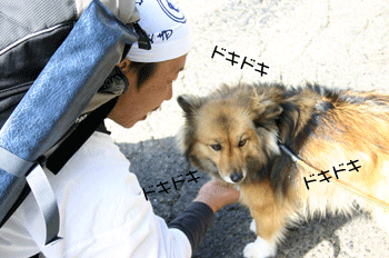 a0041108_18273673.gif