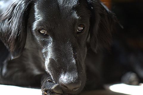 a0090313_11445559.jpg