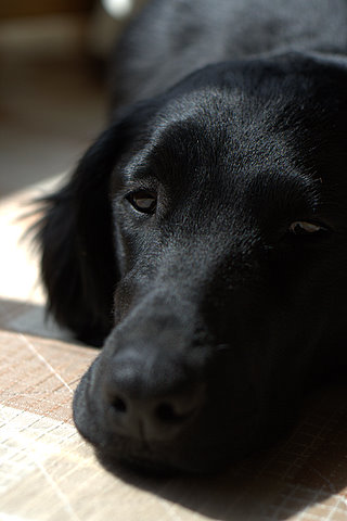 a0090313_11451621.jpg