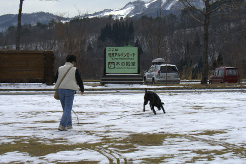 a0090313_1150037.jpg