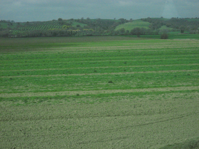 e0011818_14461542.jpg