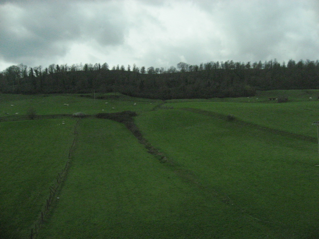 e0011818_14463869.jpg