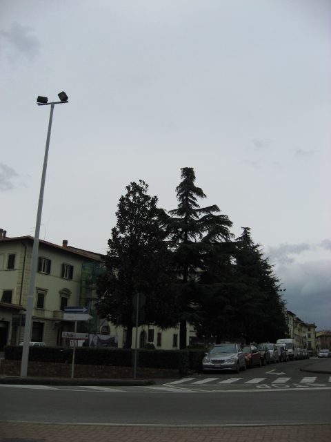 e0011818_17414044.jpg