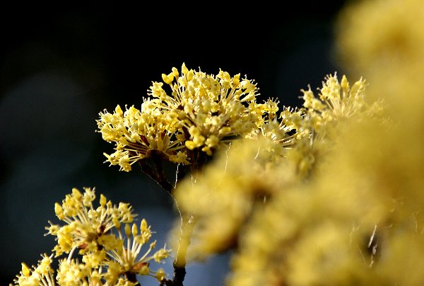 f0031423_21551598.jpg