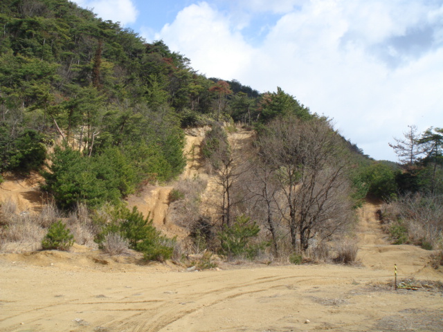 c0009224_2046578.jpg