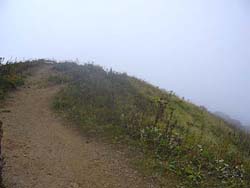 f0051624_23242744.jpg