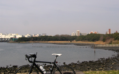 e0089826_2238162.jpg