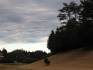 e0089826_22381830.jpg