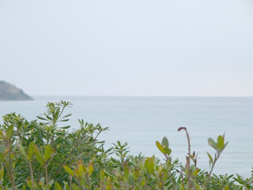 d0018131_102590.jpg