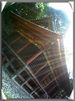 d0048140_2310514.jpg