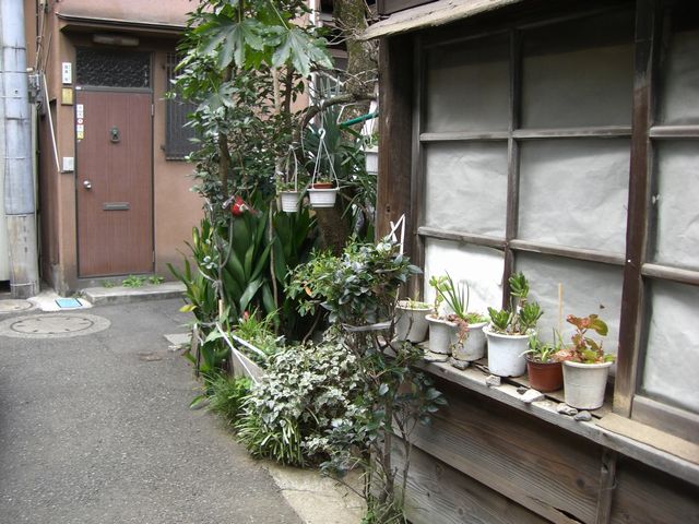 e0105846_1418867.jpg