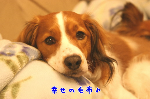 d0013149_12231430.jpg