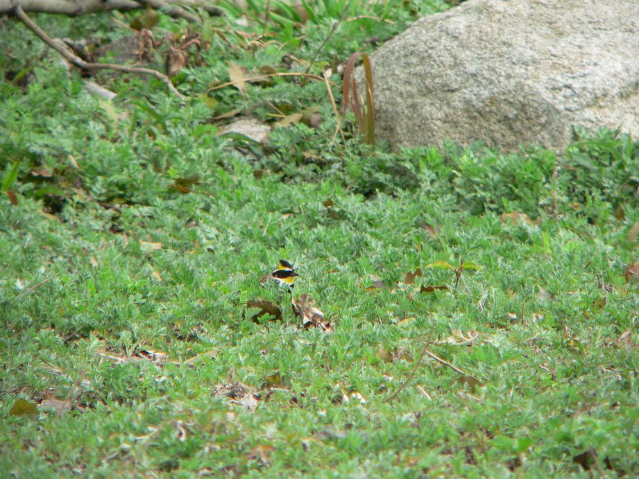 f0124451_2563339.jpg