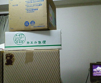 c0061753_194872.jpg