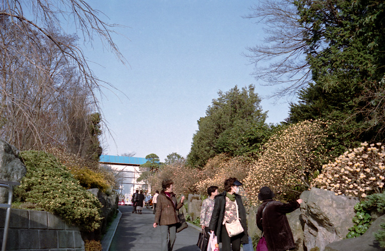 d0100156_19375829.jpg