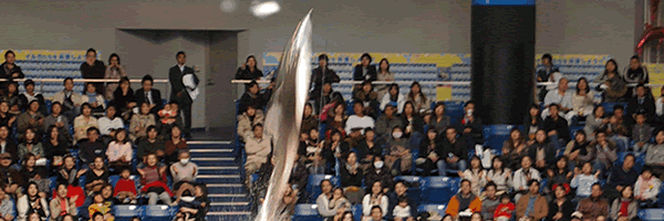 c0062361_21241795.gif