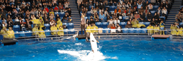 c0062361_2124724.gif
