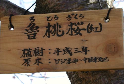 f0046262_2320786.jpg