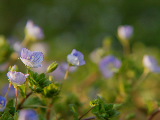 f0134564_2245477.jpg