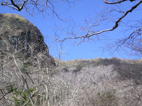c0042869_19363054.jpg