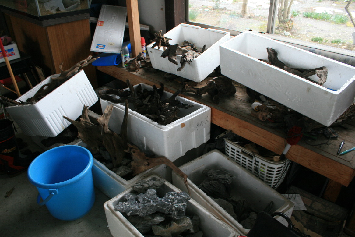 d0090170_11324296.jpg