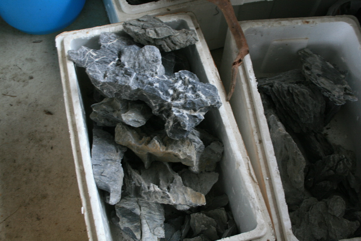 d0090170_11345450.jpg