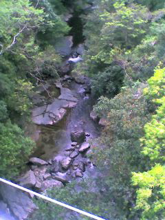 d0110073_18185456.jpg