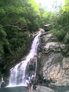 d0110073_1832947.jpg