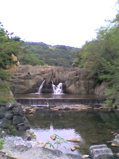 d0110073_928216.jpg