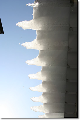 e0010185_1113654.jpg
