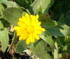 e0026586_13524399.jpg
