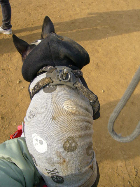 d0070702_2148647.jpg