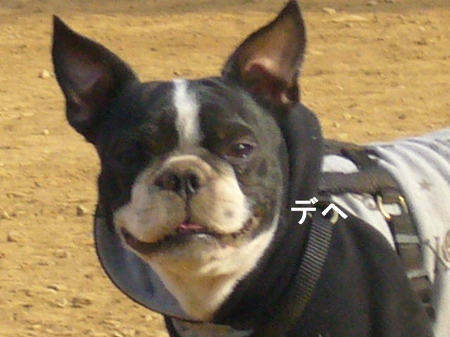d0070702_21585611.jpg