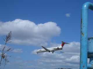b0061107_1724483.jpg